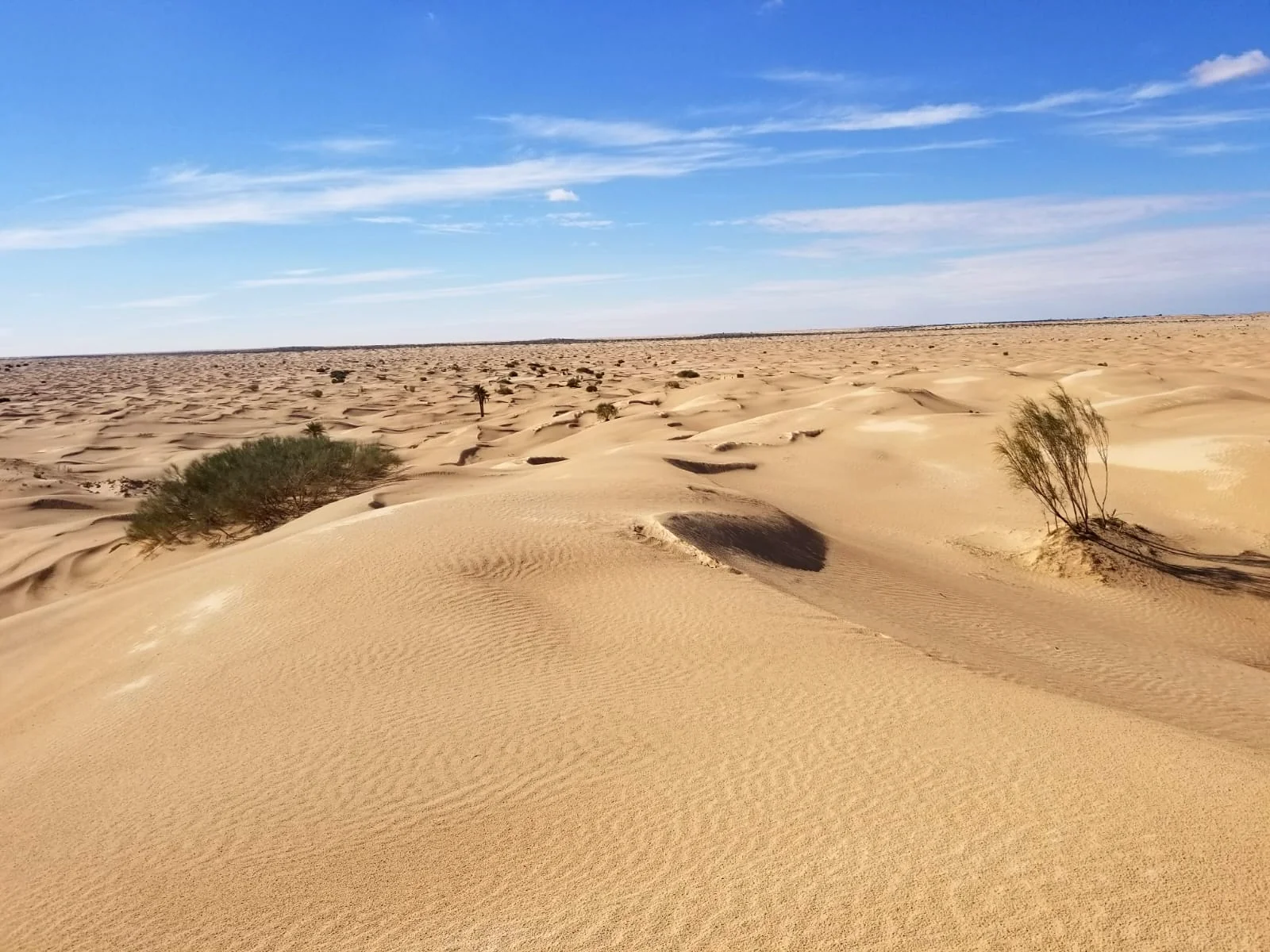 SAHARA TUNISIEN — 17 – 24 mars 2027