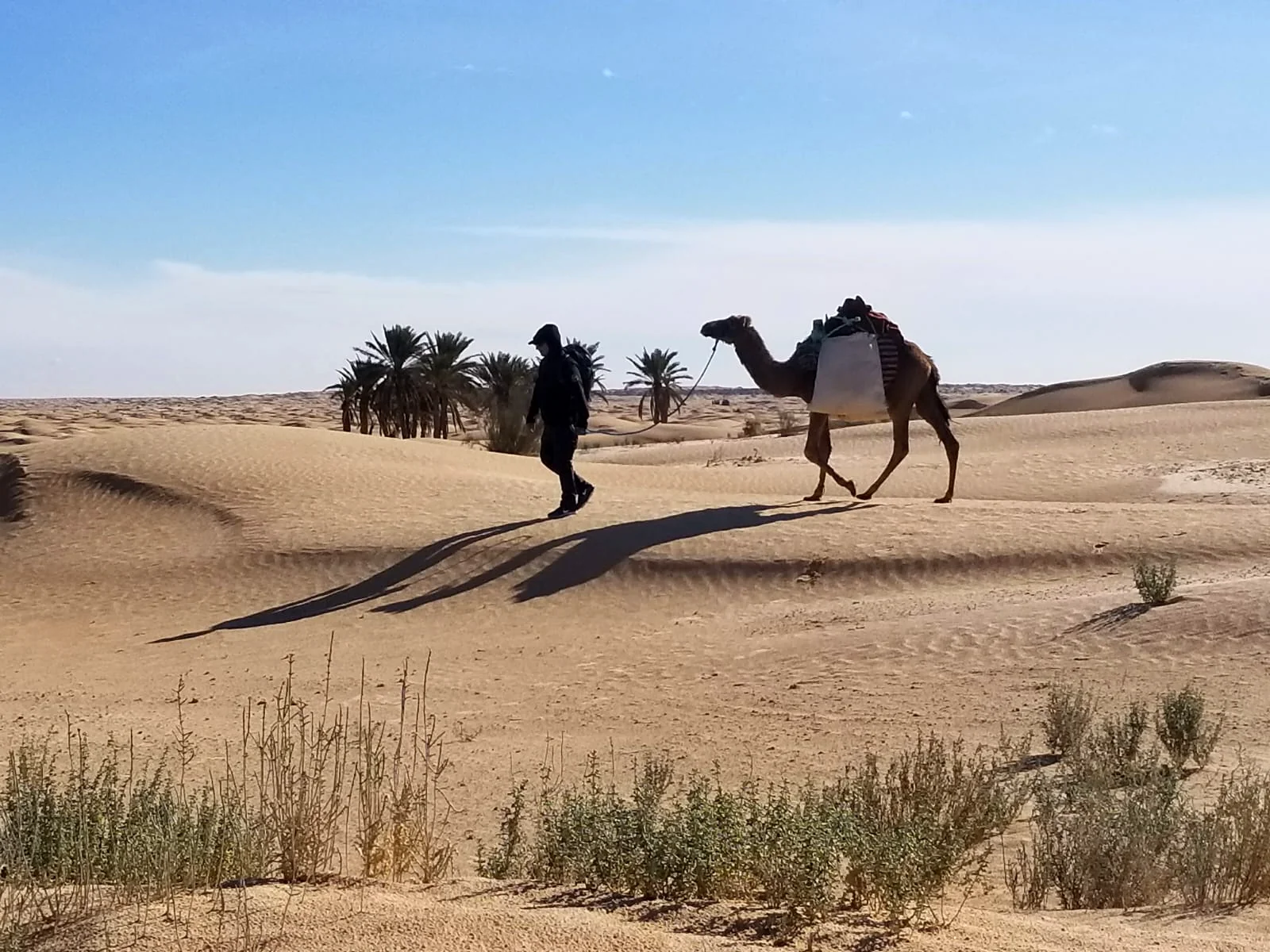 SAHARA TUNISIEN — 16 – 23 avril 2027