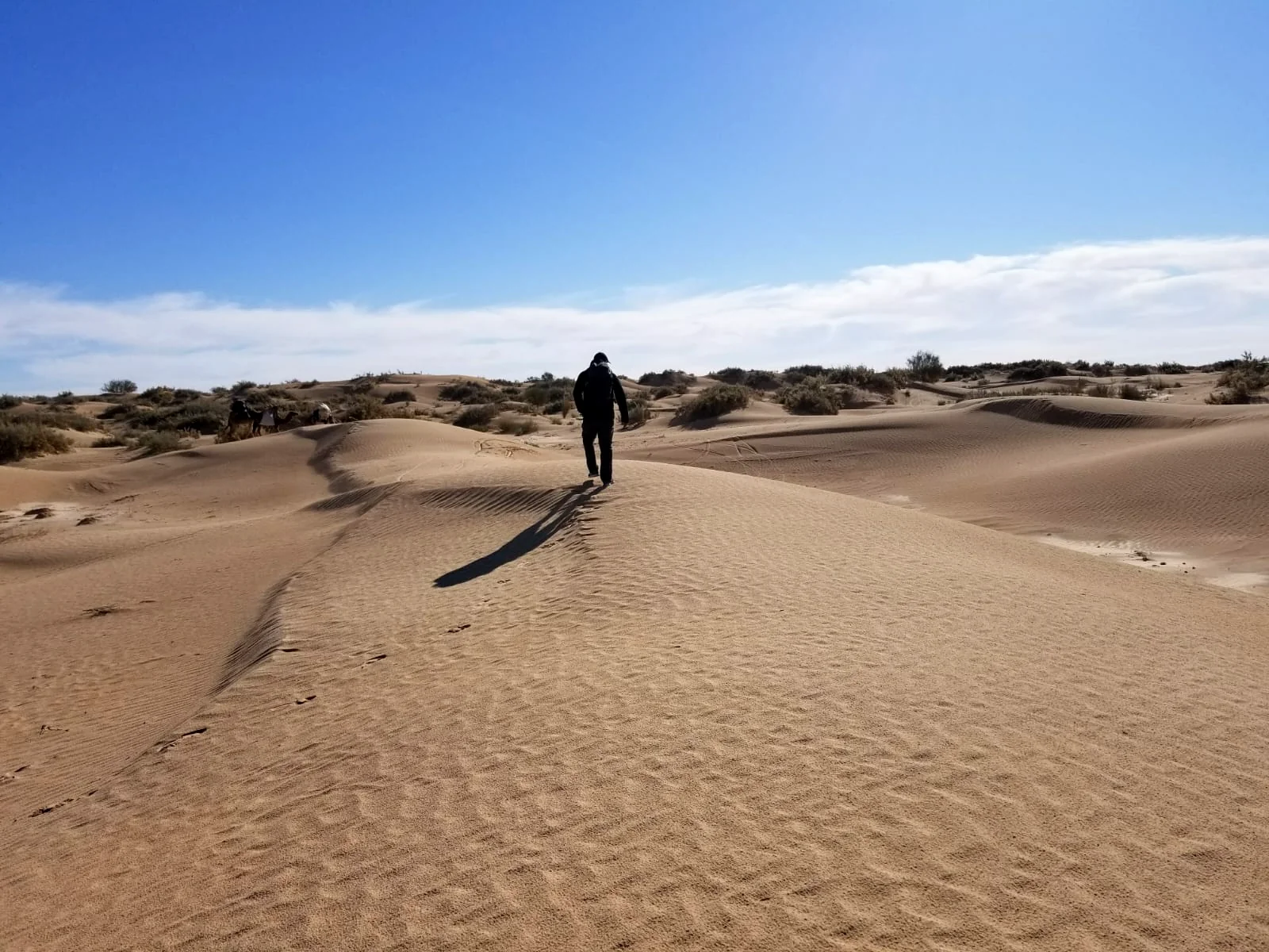SAHARA TUNISIEN — 15 – 22 février 2027