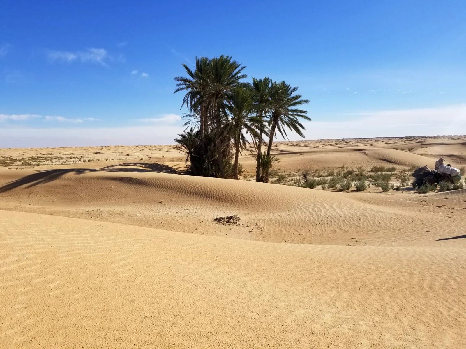 SAHARA TUNISIEN — 2 – 9 mars 2027
